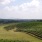 Georgia Wine Country