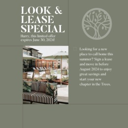 Instagram post from @treesortluxuryliving on June 29, 2024 10:25:10am