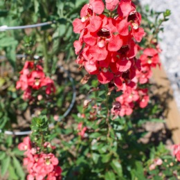 Instagram post from @treesortluxuryliving on July 17, 2024 09:57:11am